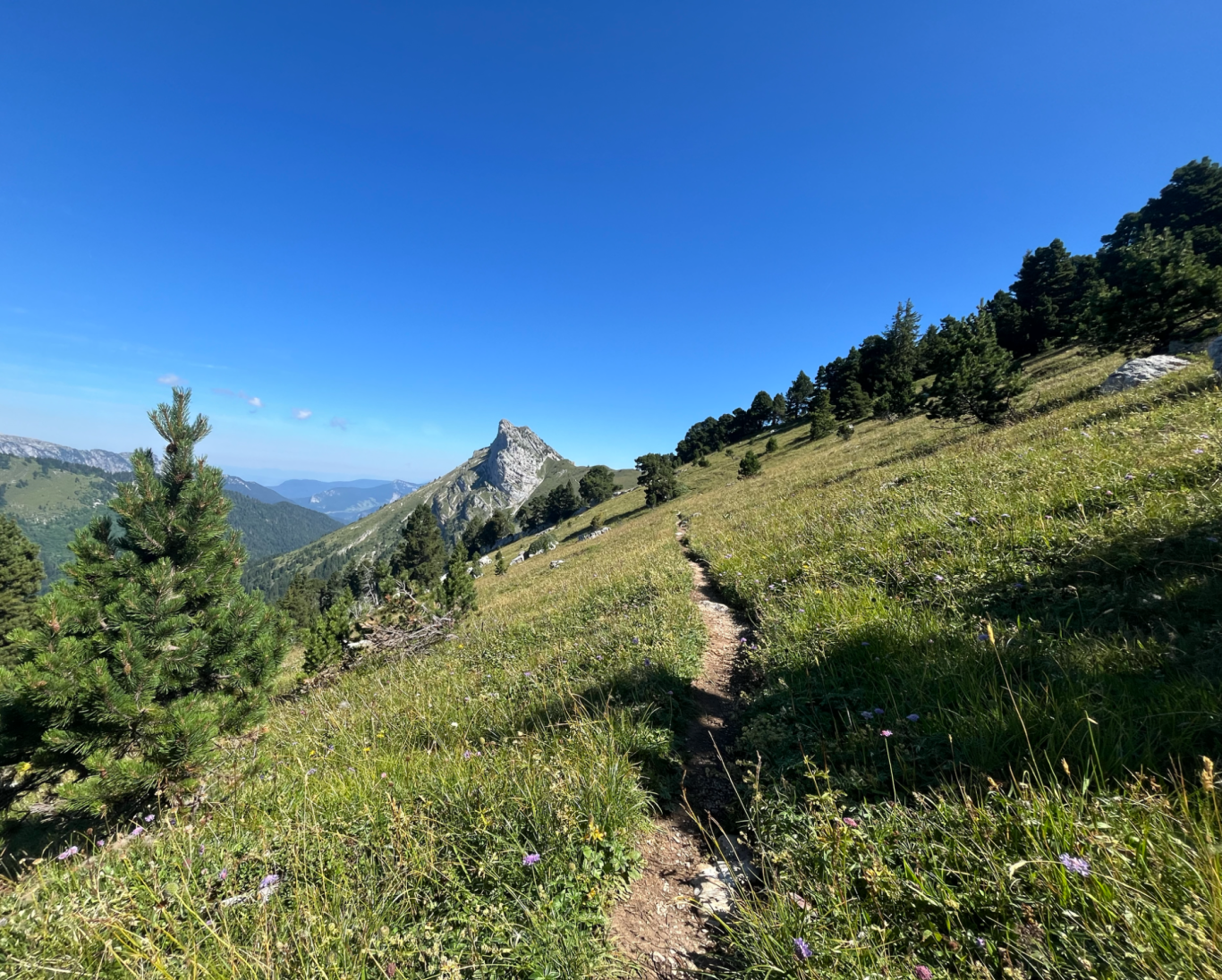 chemin qui montre le cap coaching et formation