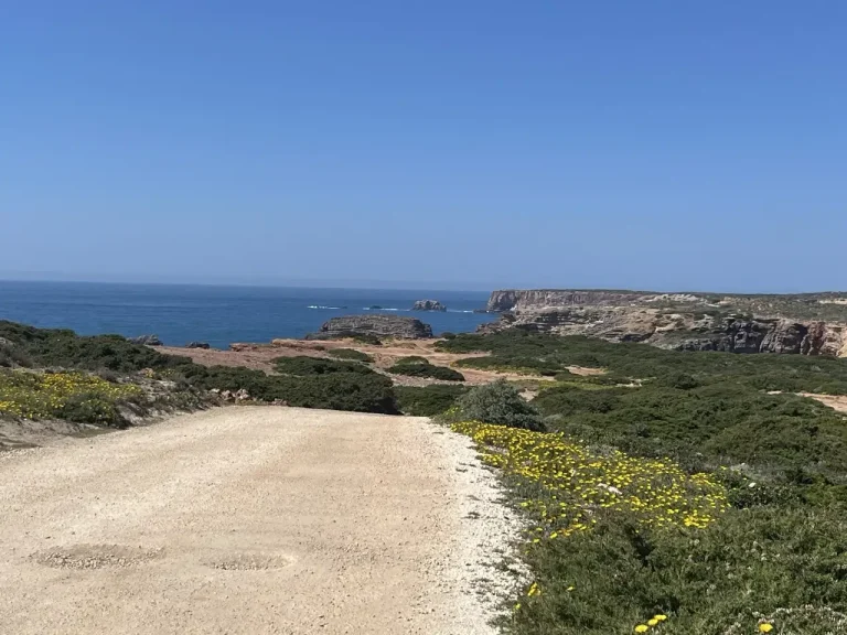 Chemin pour des formations de managers