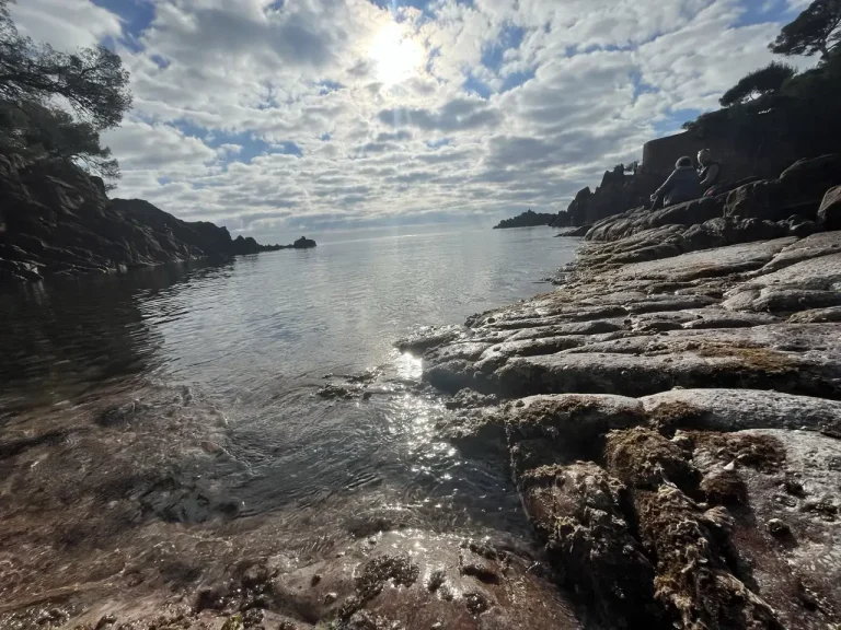 Photo illustrant le coaching professionnel